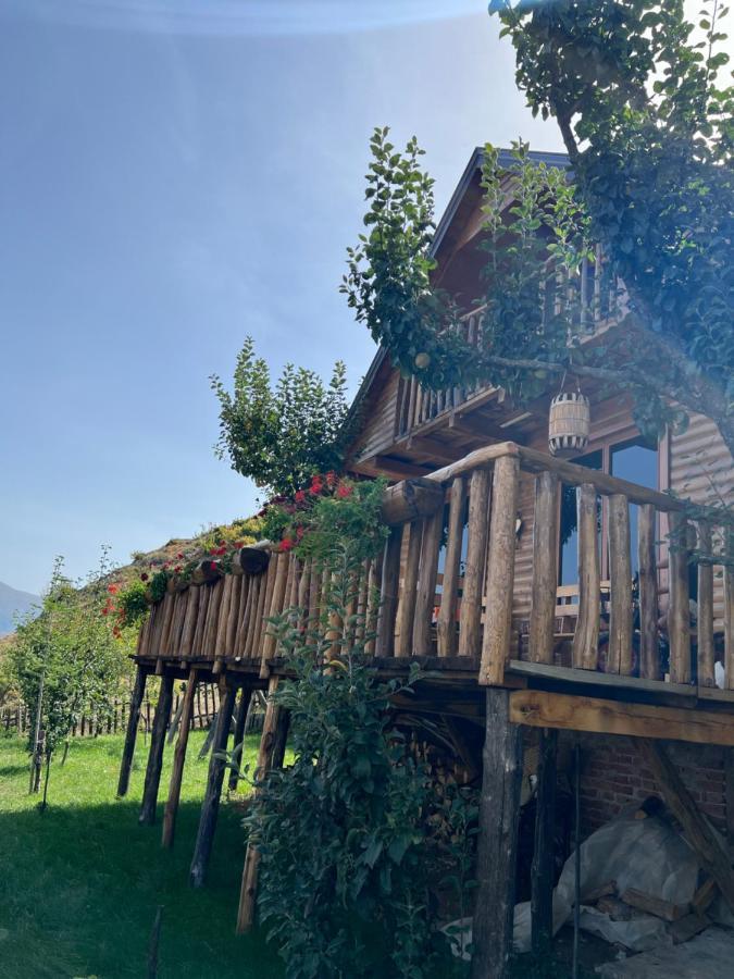Bauernhof Guesthouse Pogradec